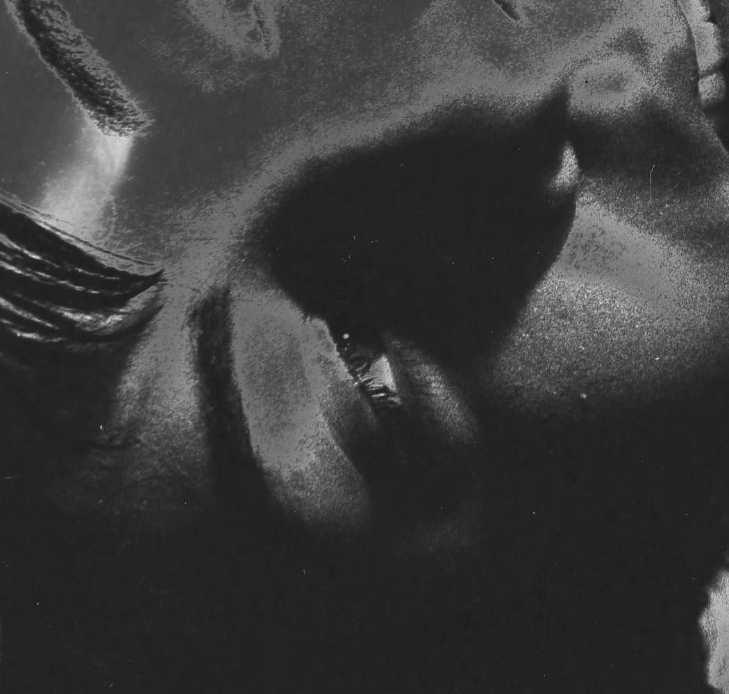 A zoomed in version of the first image but just the eye.  The image is in black and white and solarized and strange facial details come out..
