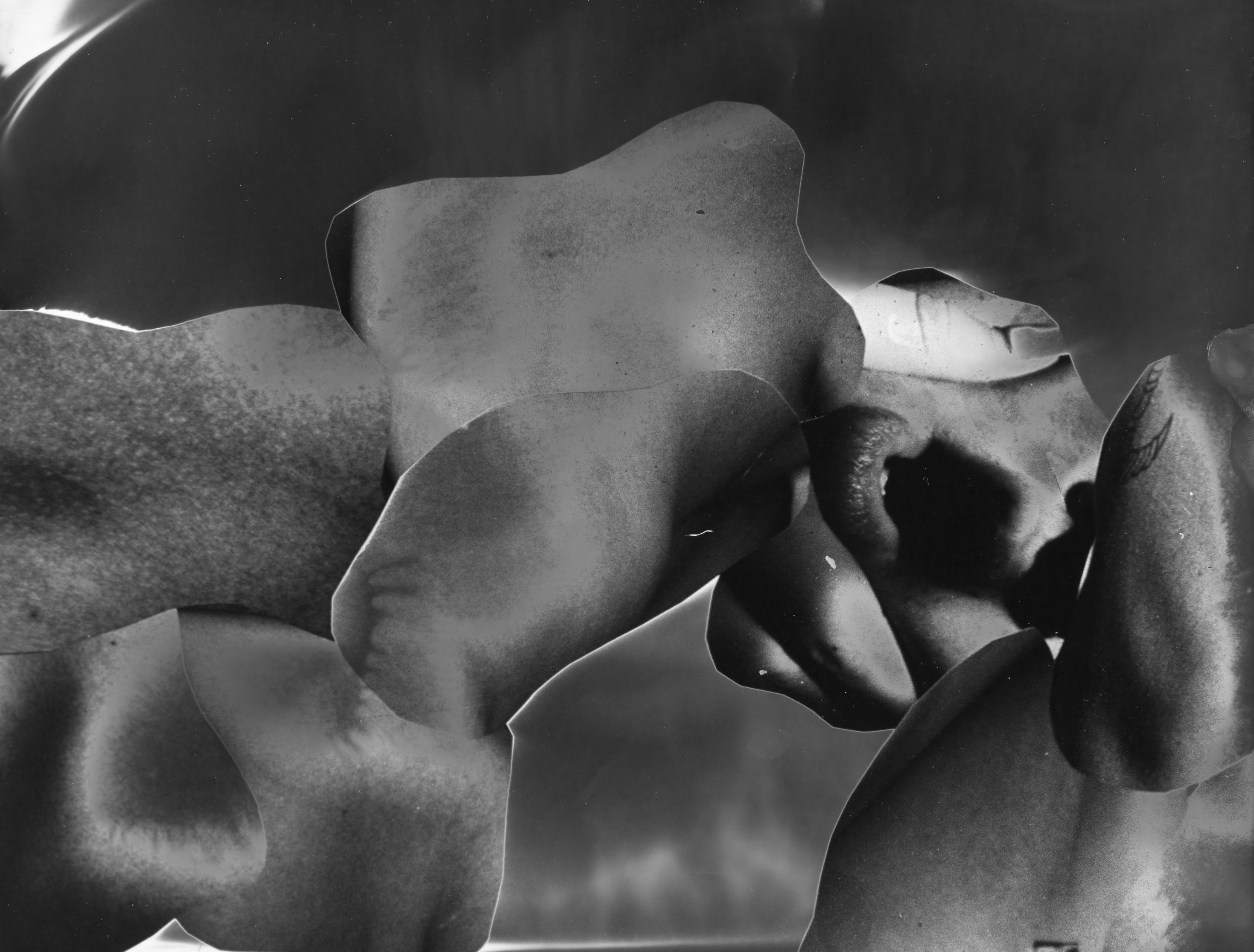 A black and white photo of a white background of various different body parts collaged together.