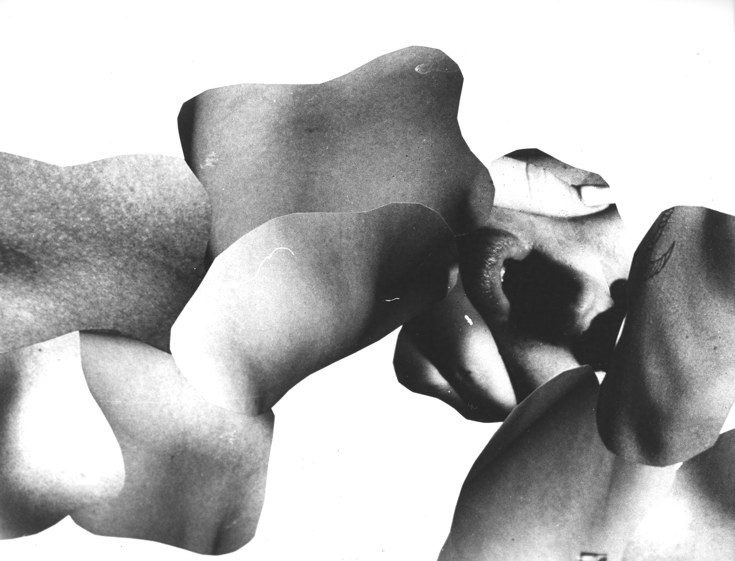 A black and white photo of a white background of various different body parts collaged together.